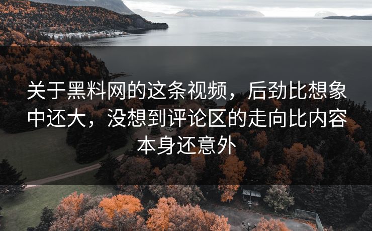关于黑料网的这条视频，后劲比想象中还大，没想到评论区的走向比内容本身还意外