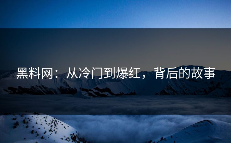 黑料网:从冷门到爆红,背后的故事