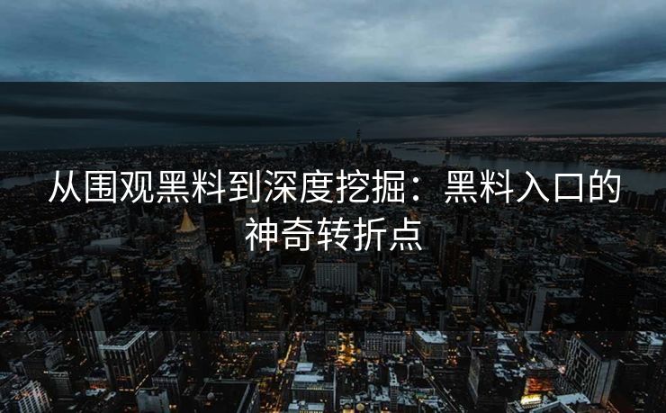 从围观黑料到深度挖掘：黑料入口的神奇转折点