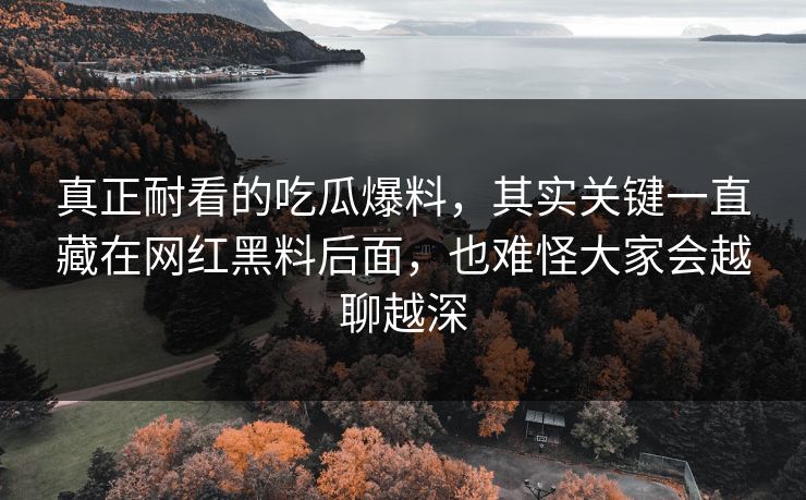 真正耐看的吃瓜爆料,其实关键一直藏在网红黑料后面,也难怪大家会越聊越深