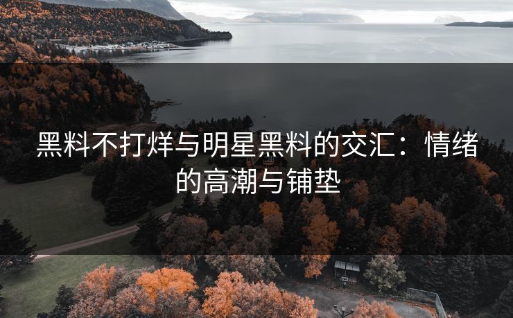 黑料不打烊与明星黑料的交汇:情绪的高潮与铺垫