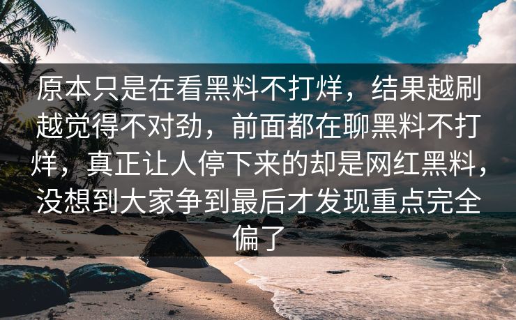 原本只是在看黑料不打烊，结果越刷越觉得不对劲，前面都在聊黑料不打烊，真正让人停下来的却是网红黑料，没想到大家争到最后才发现重点完全偏了