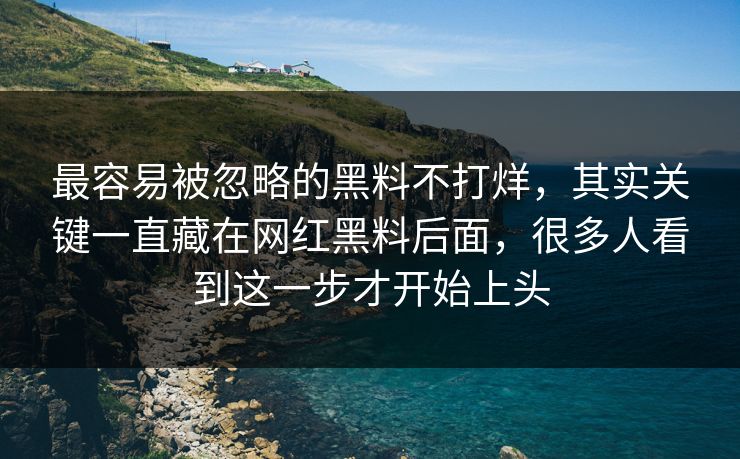 最容易被忽略的黑料不打烊，其实关键一直藏在网红黑料后面，很多人看到这一步才开始上头